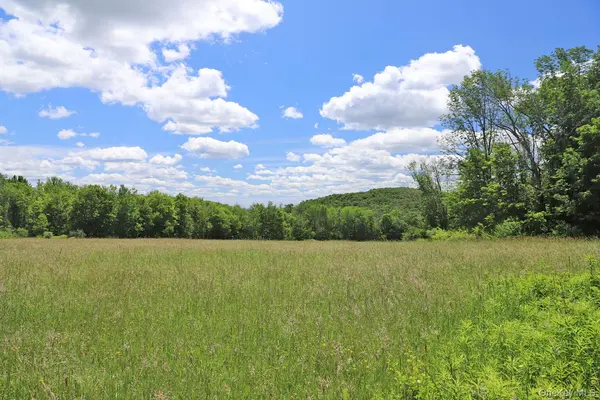 Dietz RD, Callicoon Center, NY 12724