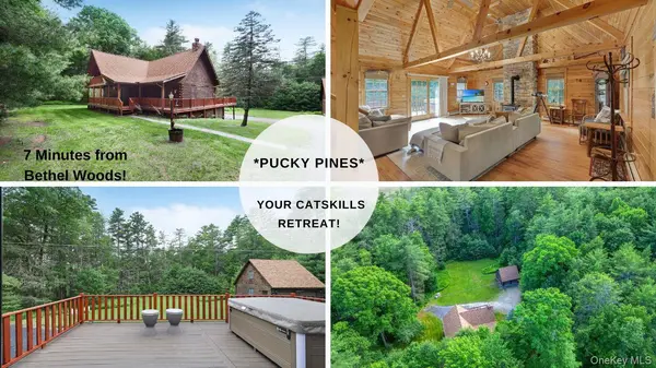 306 Pucky Huddle RD, Bethel, NY 12720