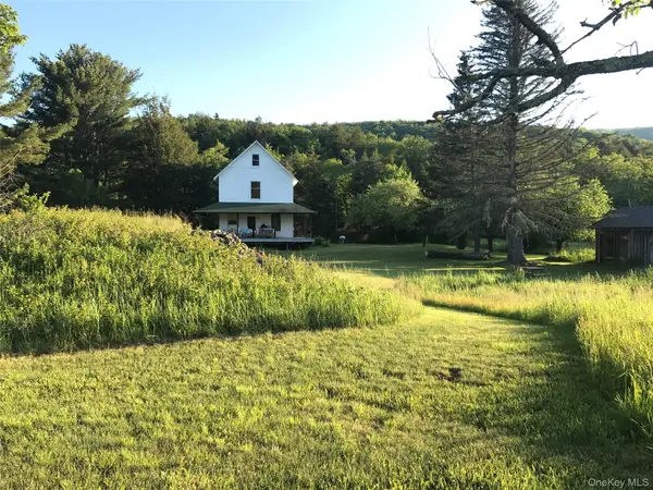 Livingston Manor, NY 12758