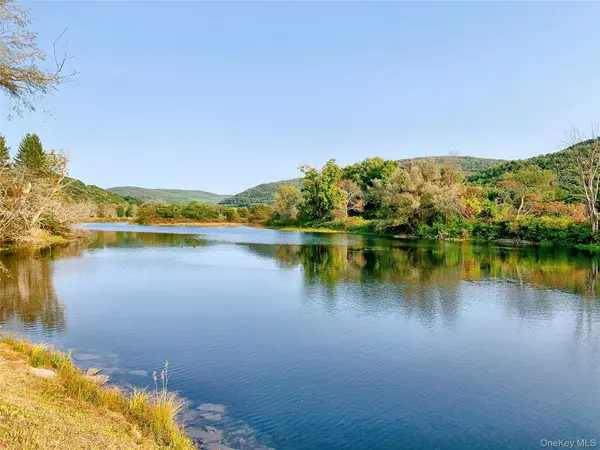 Skip Gray RD, Delancey, NY 13752