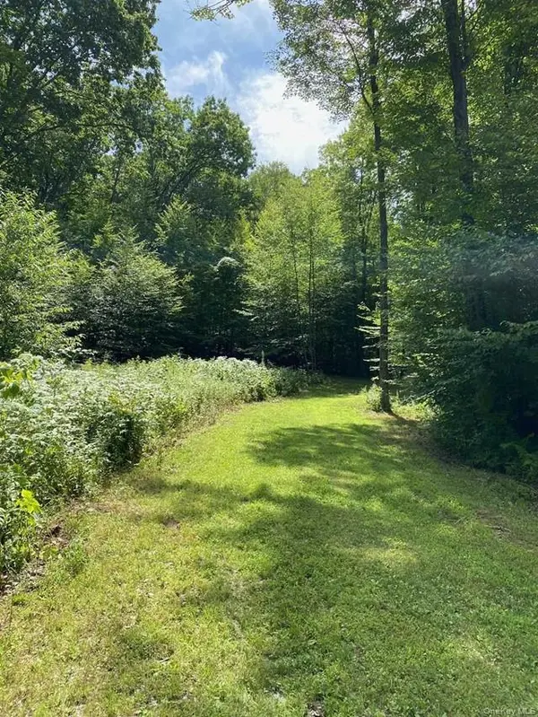 Mile High RD, Elizaville, NY 12523