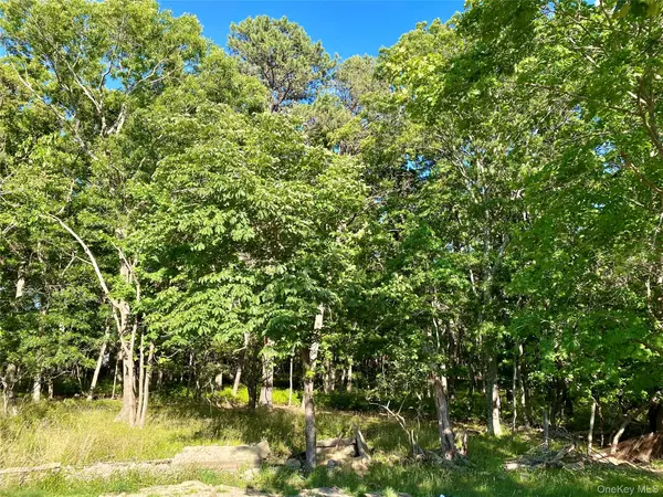 Granny RD, Medford, NY 11763