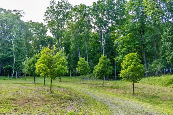 Mallory RD, Verbank, NY 12585