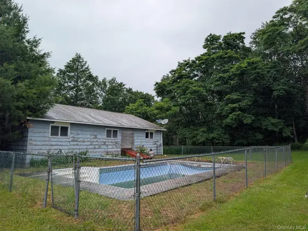 196 Gabriel RD, Cochecton, NY 12726