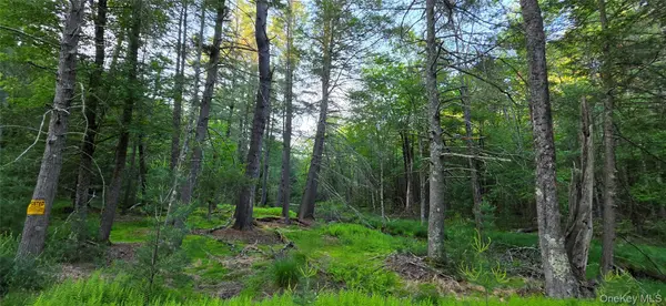 Lot 3.3 Old Tacy RD, Bethel, NY 12720