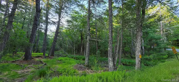 Lot 3.3 Old Tacy RD, Bethel, NY 12720