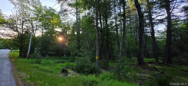 Lot 3.3 Old Tacy RD, Bethel, NY 12720