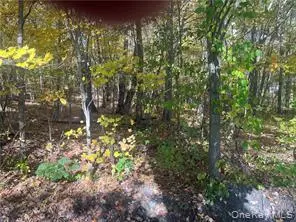 0 Budd LN, Millerton, NY 12546