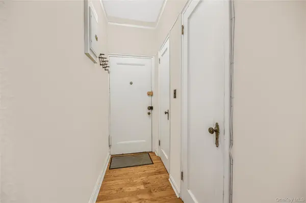 96-11 65th RD #Prof A, Rego Park, NY 11374