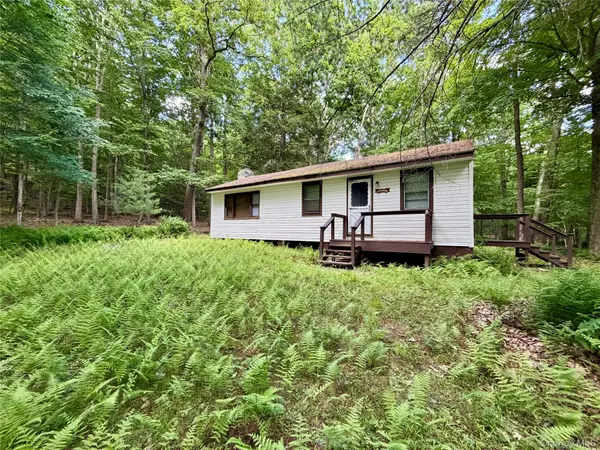 34 Newman RD, Pond Eddy, NY 12770