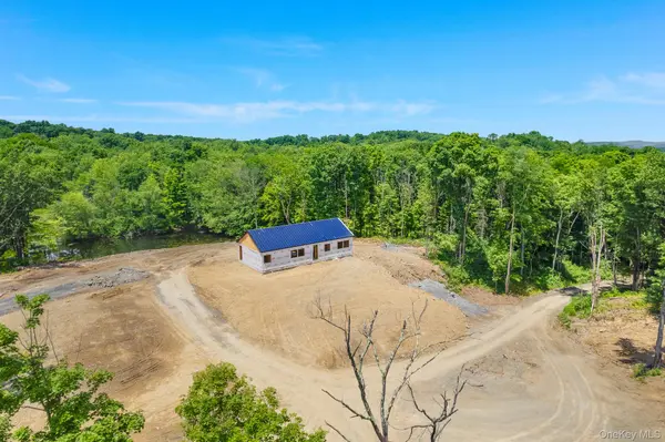 625 Traver RD, Pleasant Valley, NY 12569