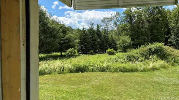 438 Debruce Rd, Livingston Manor, NY 12758