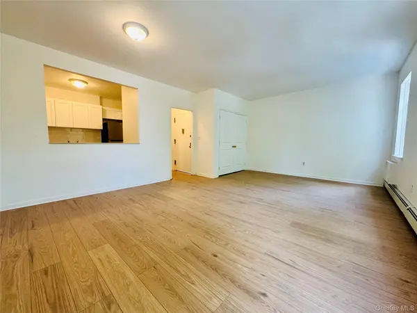 214 Mother Gaston Boulevard #3, Brooklyn, NY 11233