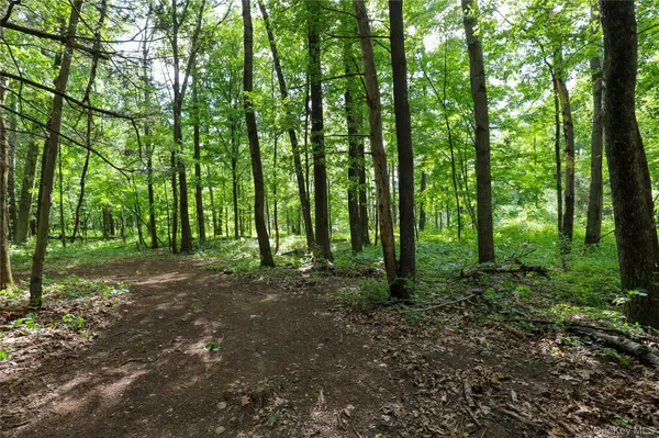 TBD Old Kings RD, Catskill, NY 12414