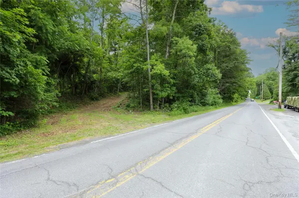 TBD Old Kings RD, Catskill, NY 12414