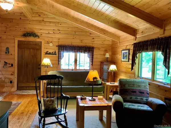 66 Milton Smith RD, Long Eddy, NY 12760