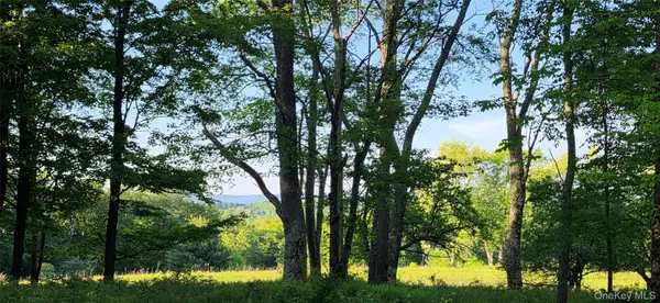 Lot 1.35 W Shore RD, Bethel, NY 12783
