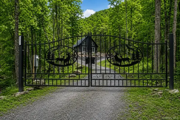 1211 Gulf RD, Livingston Manor, NY 12758