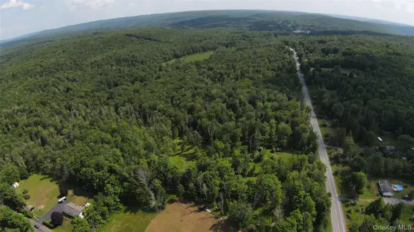 Co Hway 158, Fallsburg, NY 12733
