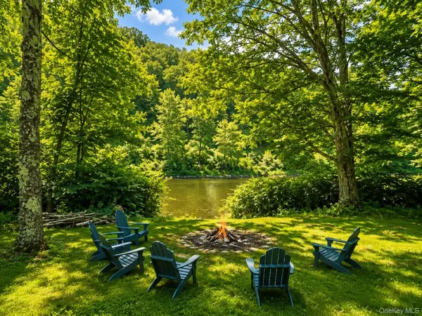 284 Mountain PASS, East Branch, NY 13756