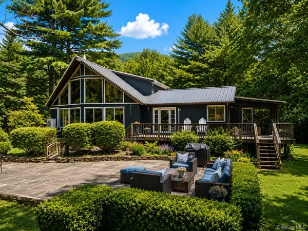 284 Mountain PASS, East Branch, NY 13756