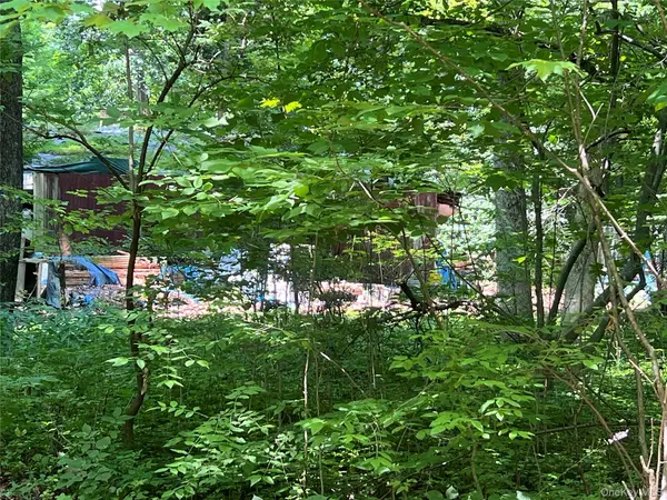 25 Hornbeck RDG, Poughkeepsie, NY 12603
