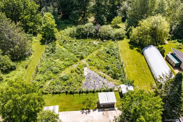 64 & 68 Mineral Springs RD, Livingston Manor, NY 12758