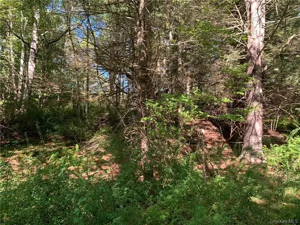 TBD Chapin TRL, White Lake, NY 12786