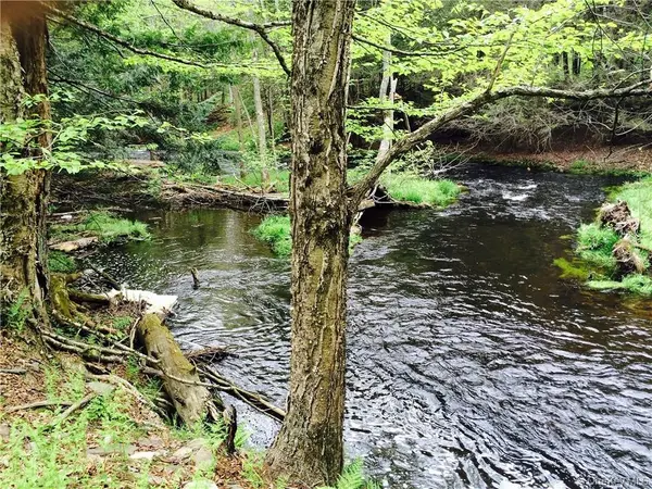 TBD Chapin TRL, White Lake, NY 12786