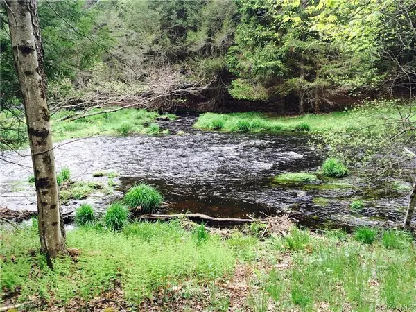 TBD Chapin TRL, White Lake, NY 12786
