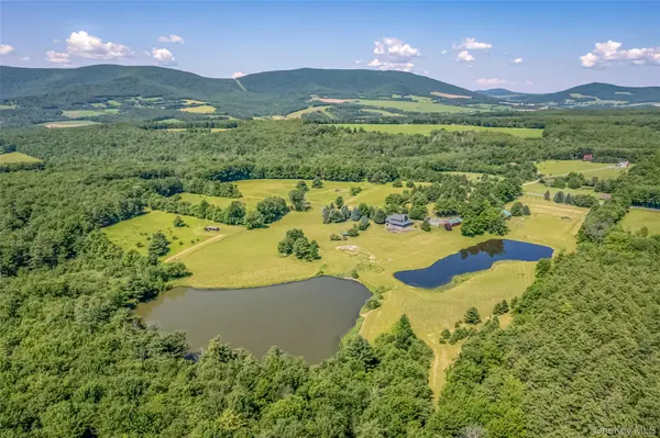 688 Bruce Porn RD, Stamford, NY 12167