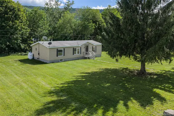 1780 Roses Brook RD, Other, NY 13842