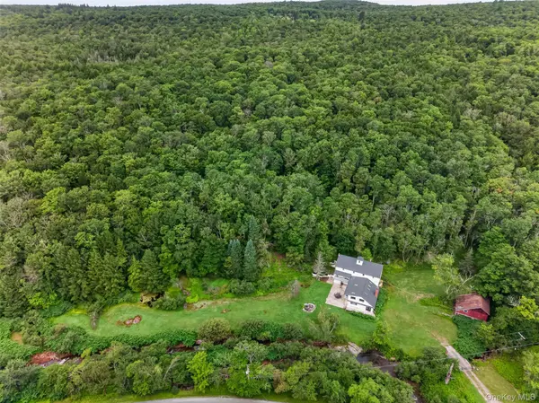 609 Grooville RD, Livingston Manor, NY 12758