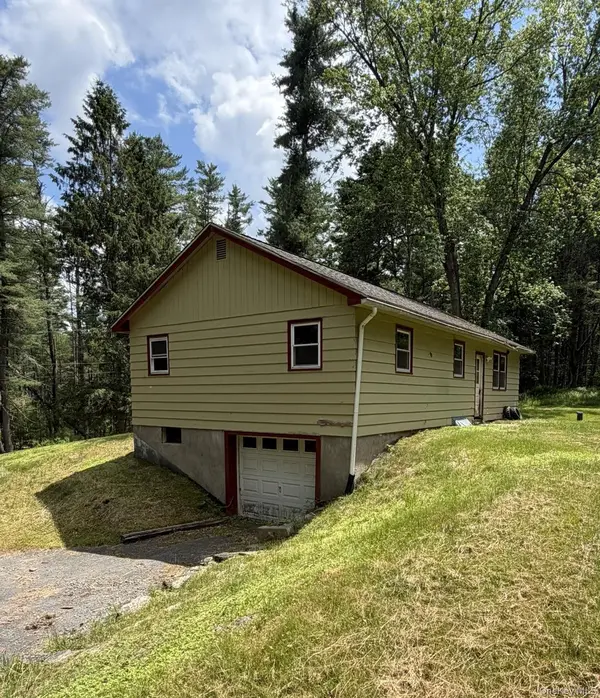5 Steges RD, Eldred, NY 12743