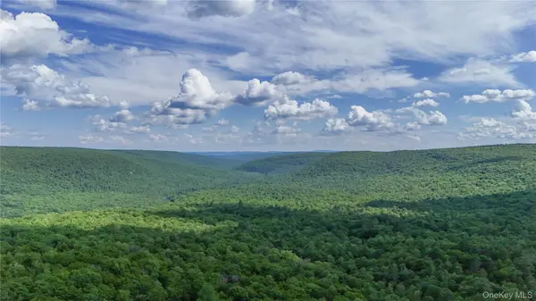 0 Wilderness TRL, Forestburgh, NY 12777