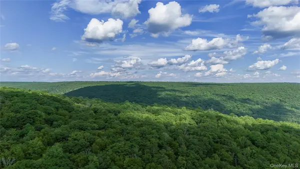 0 Wilderness TRL, Forestburgh, NY 12777