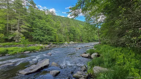 242 Denton Falls RD, Forestburgh, NY 12777