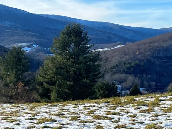 Route 23A, Prattsville, NY 12468