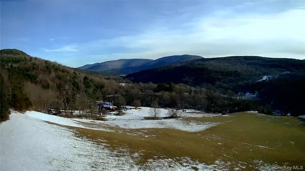 Route 23A, Prattsville, NY 12468