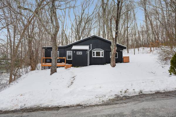 62 Netherwood PLZ, Salt Point, NY 12578