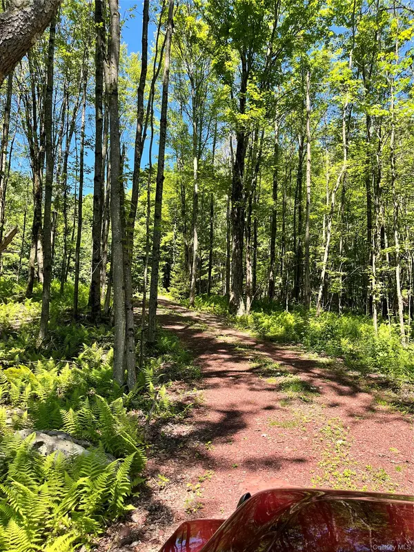 Upper Pond Dahlia RD, Livingston Manor, NY 12758