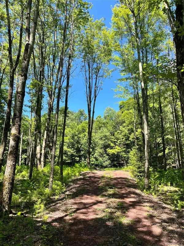 Upper Pond Dahlia RD, Livingston Manor, NY 12758