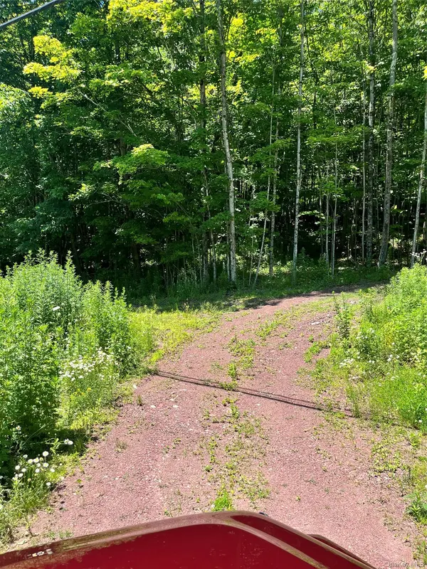 Lower Pond Dahlia RD, Livingston Manor, NY 12758