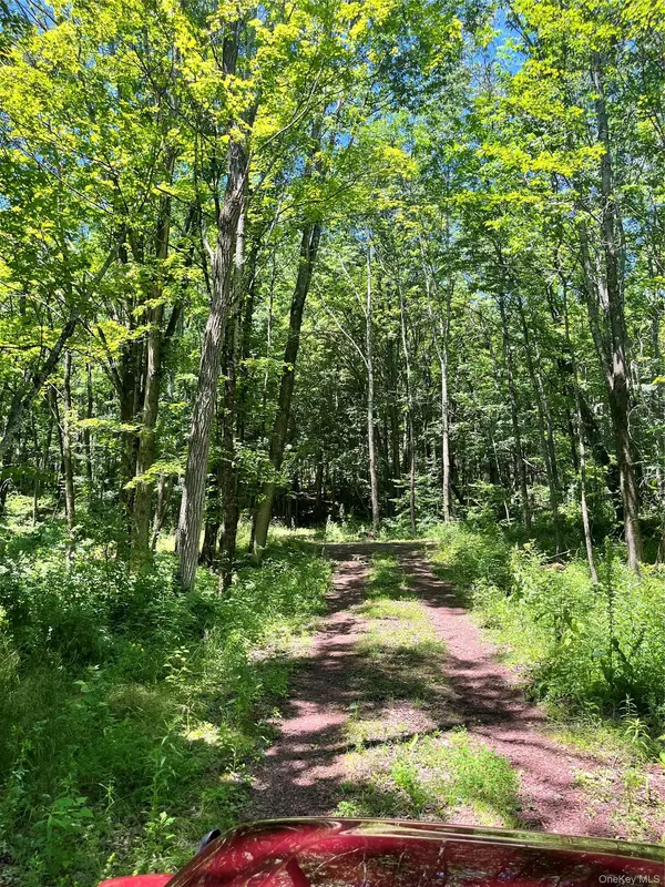 Lower Pond Dahlia RD, Livingston Manor, NY 12758
