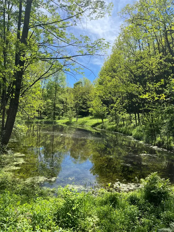 Lower Pond Dahlia RD, Livingston Manor, NY 12758