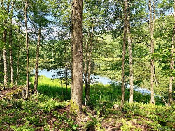 Doyle RD, Roscoe, NY 12776