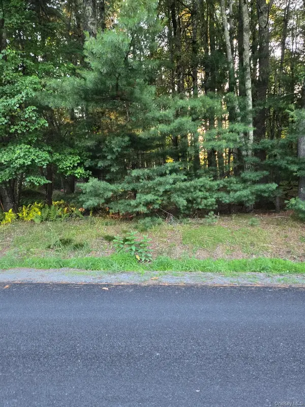 Horseshoe Lake RD, Bethel, NY 12764