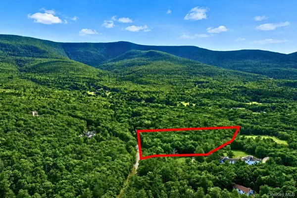 334 Pollys Rock RD, Cairo, NY 12473