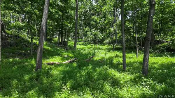 Deer Pond Lot 2 DR, Warwick, NY 10990