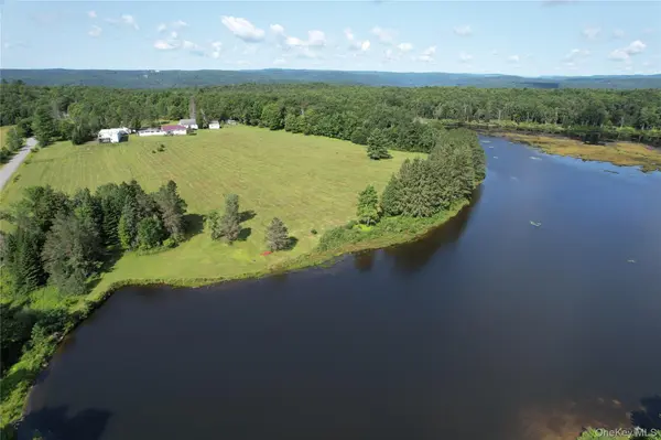 40 Spartan Hill RD, Livingston Manor, NY 12758